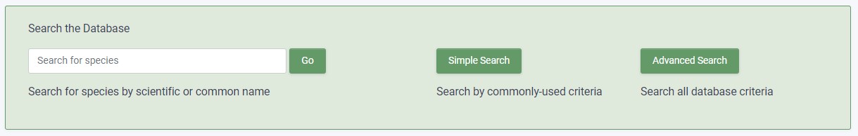 Home Page Search Box